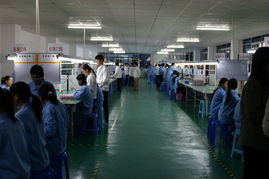 深圳市恒越達(dá)電子皮革及皮革制品批發(fā)行業(yè)分析